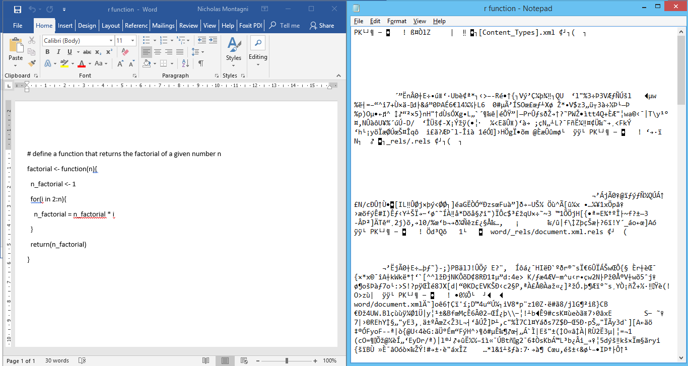 \label{fig:figs}A Microsoft Word file, r function.docx, as seen by Notepad